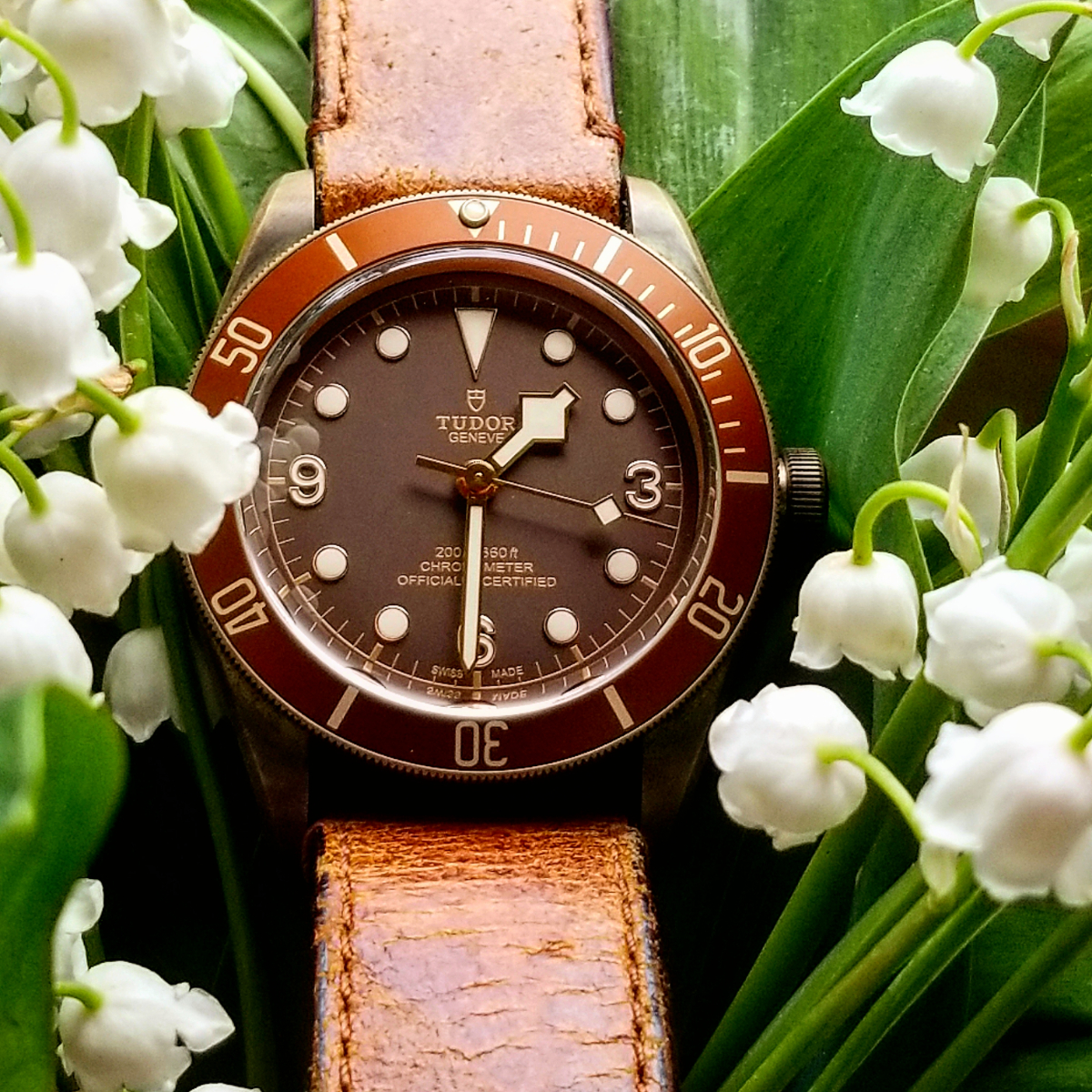 Owner Review: Tudor Heritage Black Bay Bronze