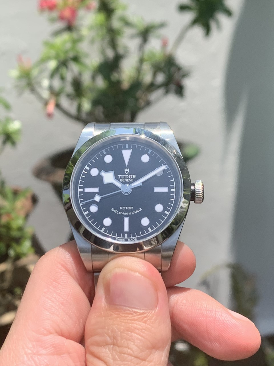 Owner Review: Tudor Black Bay 36