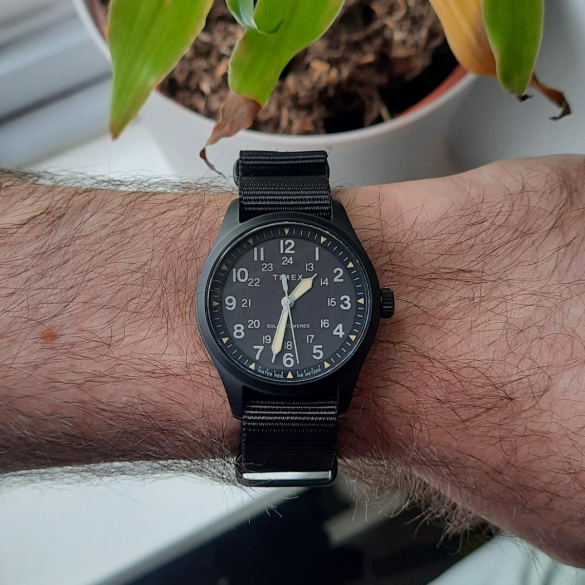 Owner Review: Timex Expedition North Field Post Solar