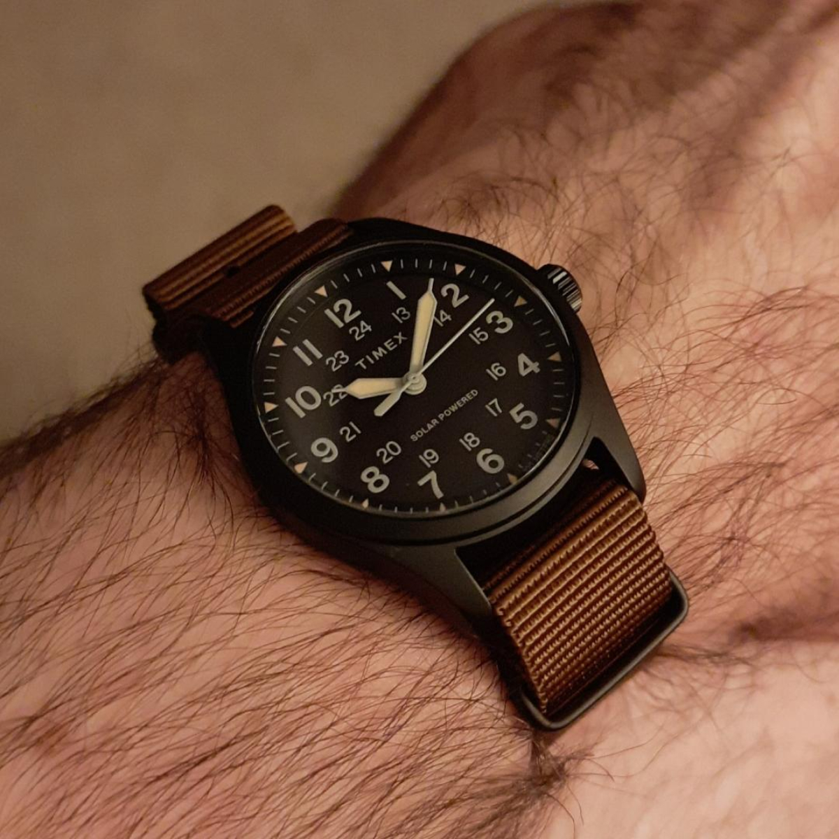 Timex expedition north field