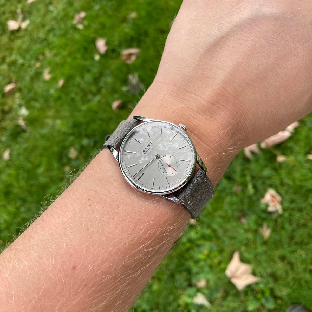 Owner review: Nomos Orion Neomatik Silvercut