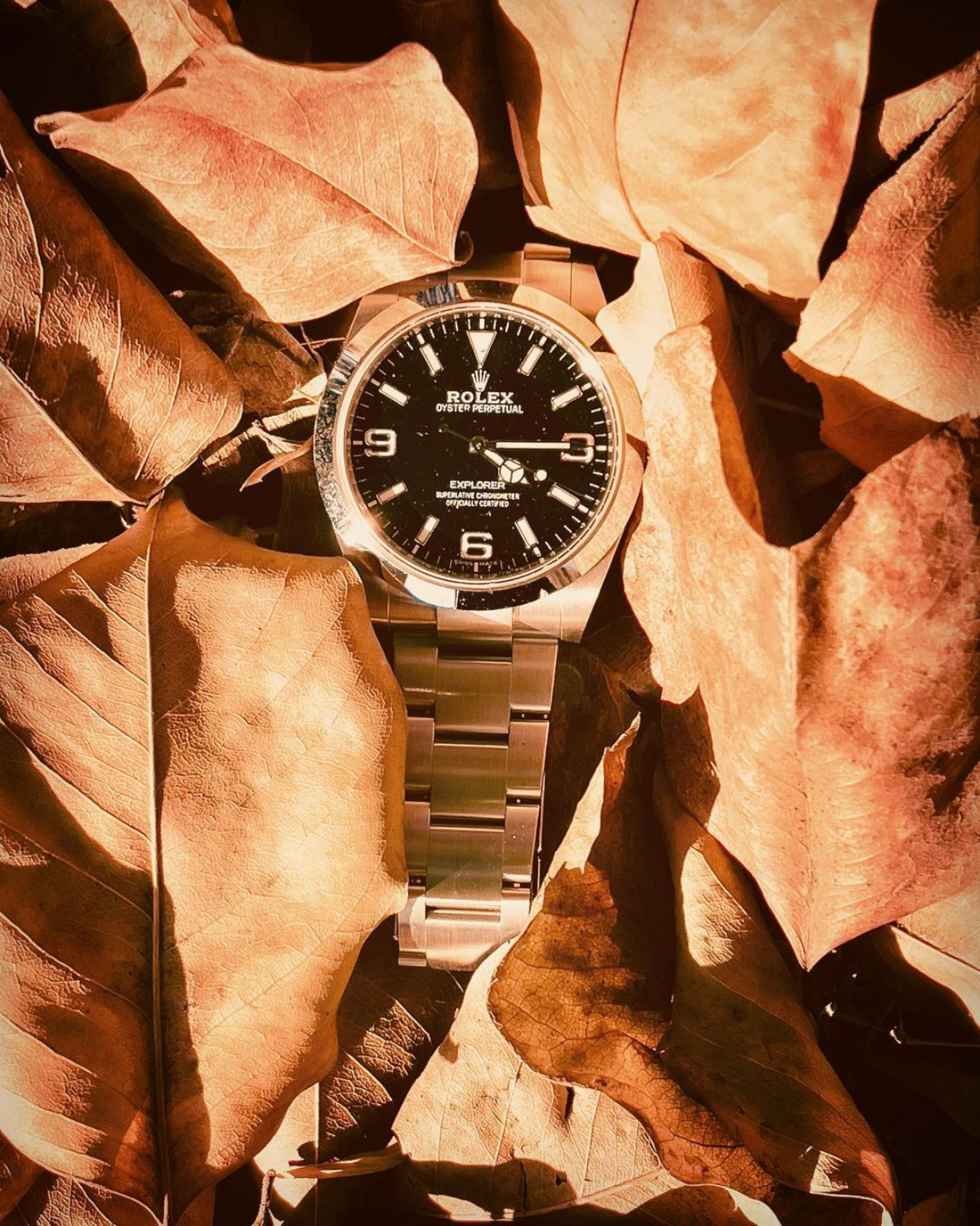  Rolex Explorer 214270